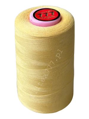 Nici 40/2 kolor nr 301 (1 szt.)