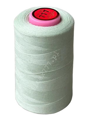 Nici 40/2 kolor nr 302 (1 szt.)
