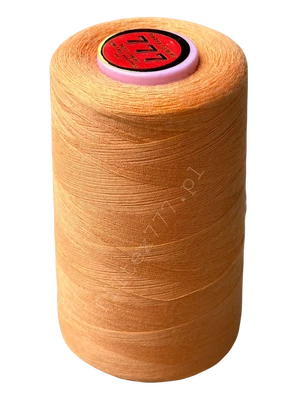 Nici 40/2 kolor nr 312 (1 szt.)