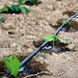 Крапельна стрічка емітер 8міл 20см 1000м 1.38л/г Grain Drip