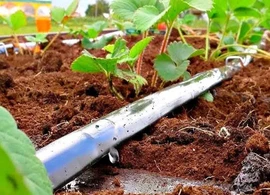 Крапельна стрічка емітерна 7міл 15cм 2000м 1 л/ч Grain Drip