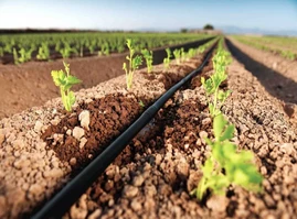 Крапельна стрічка Щілинна 8 mil 20см 1000 м 1,6 л/год Grain Drip