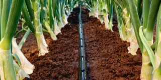 Крапельна стрічка Щілинна 7міл 10см 1000м 1,4л/год Grain Drip