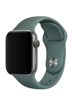 Силіконовий ремінець Watch Silicone для Apple Watch 42|44|45|46|49mm Pine Green