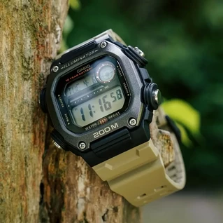 Casio DW-291HX-5A