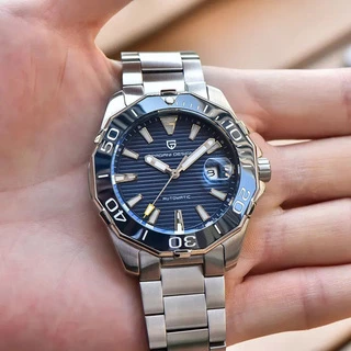 Pagani Design PD-1617 Silver-Blue